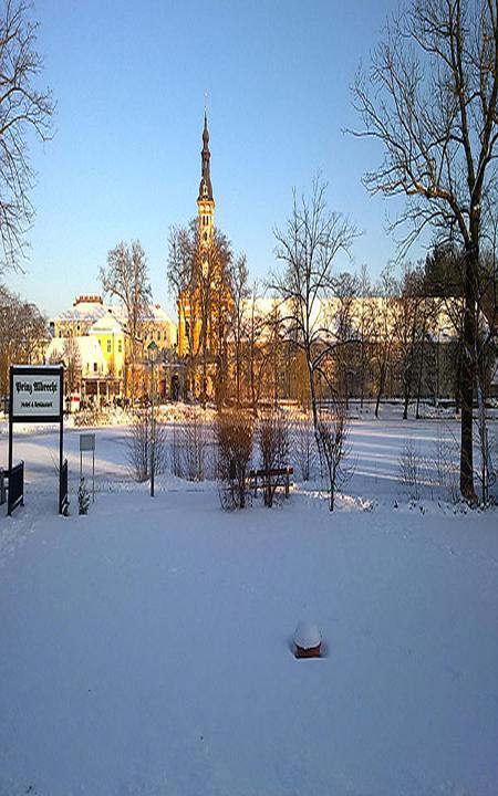 Landhaushotel Prinz Albrecht